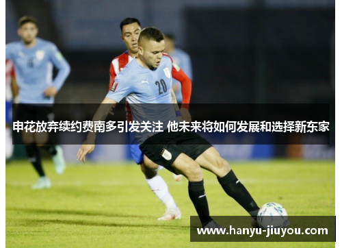 申花放弃续约费南多引发关注 他未来将如何发展和选择新东家