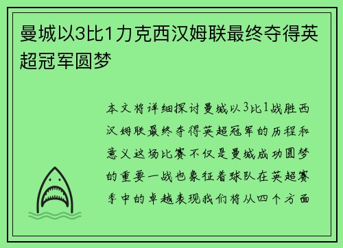 曼城以3比1力克西汉姆联最终夺得英超冠军圆梦