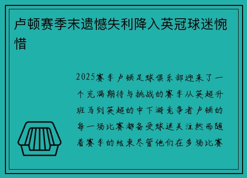 卢顿赛季末遗憾失利降入英冠球迷惋惜